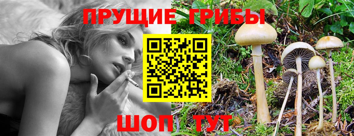 купить наркотик  Вход с VPN  Лысьва  Галлюциногенные грибы GOLDEN TEACHER  Галлюциногенные грибы Psilocybe 
