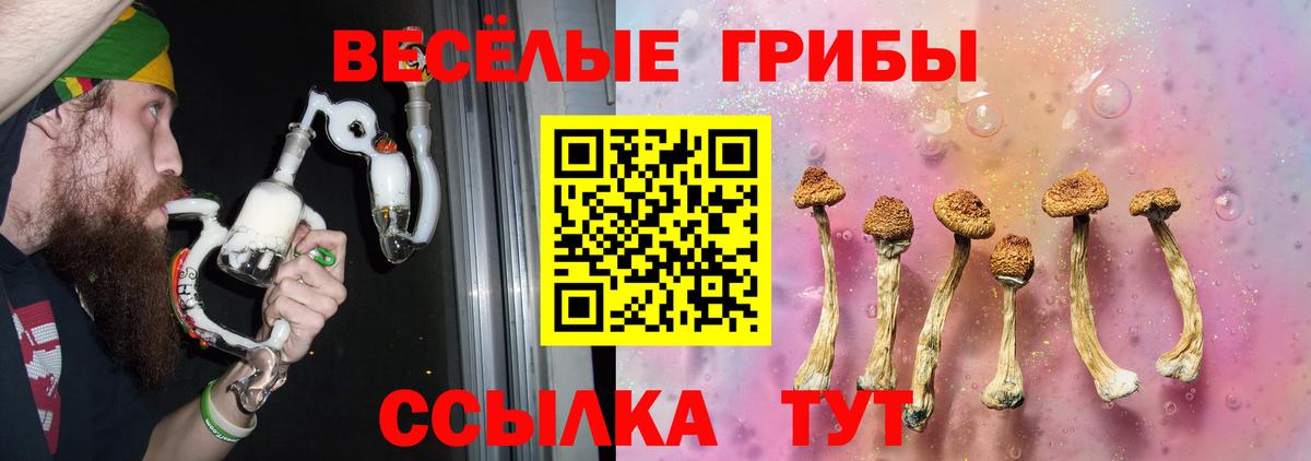 Галлюциногенные грибы прущие грибы Лысьва